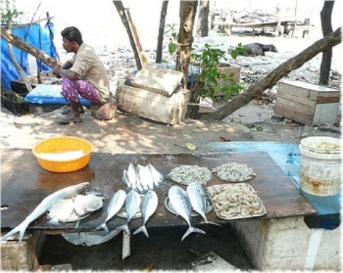 Images/cochin 670.jpg
